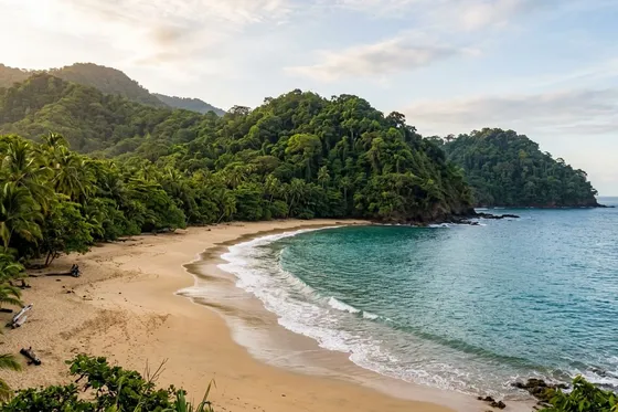 Lush rainforest meeting a secluded Pacific beach on Costa Rica's Osa Peninsula