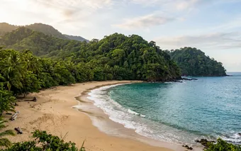 Lush rainforest meeting a secluded Pacific beach on Costa Rica's Osa Peninsula