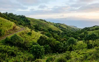 Upcountry Maui hillside with ocean views near Makawao, Hawaii