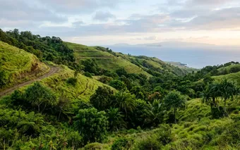 Upcountry Maui hillside with ocean views near Makawao, Hawaii