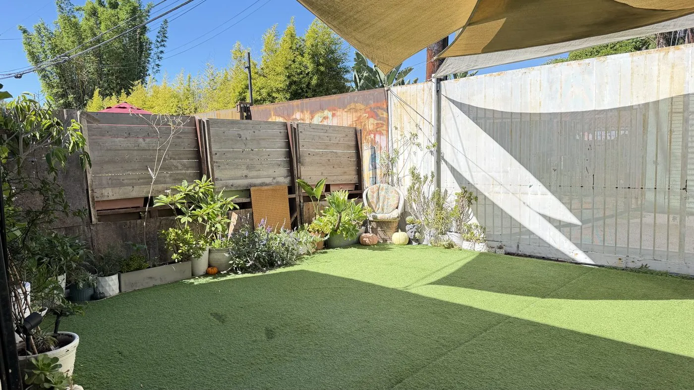 The garden seen from the studio doors, a lawn of artificial turf ringed with potted plants against wooden fences and a painted wall, under a fabric shade sail