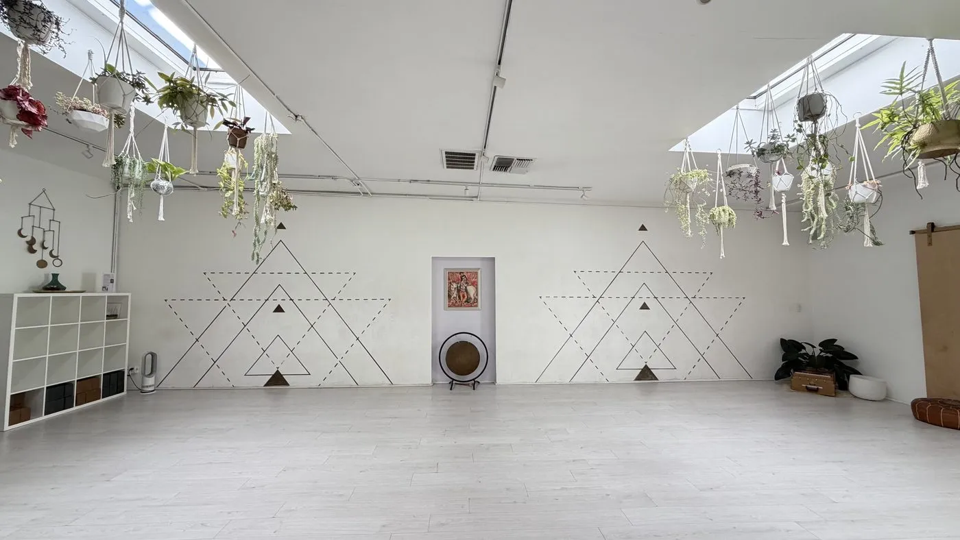 The front wall of the main room, white with geometric line drawings of triangles either side of a framed picture and a gong, under skylights hung with plants in macrame hangers