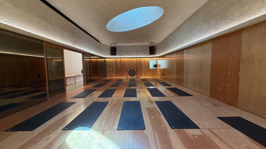 The practice room with dark mats laid out in rows on a plywood floor, plywood-panelled walls under a band of warm light, an oval skylight in the textured ceiling and a gong at the far end