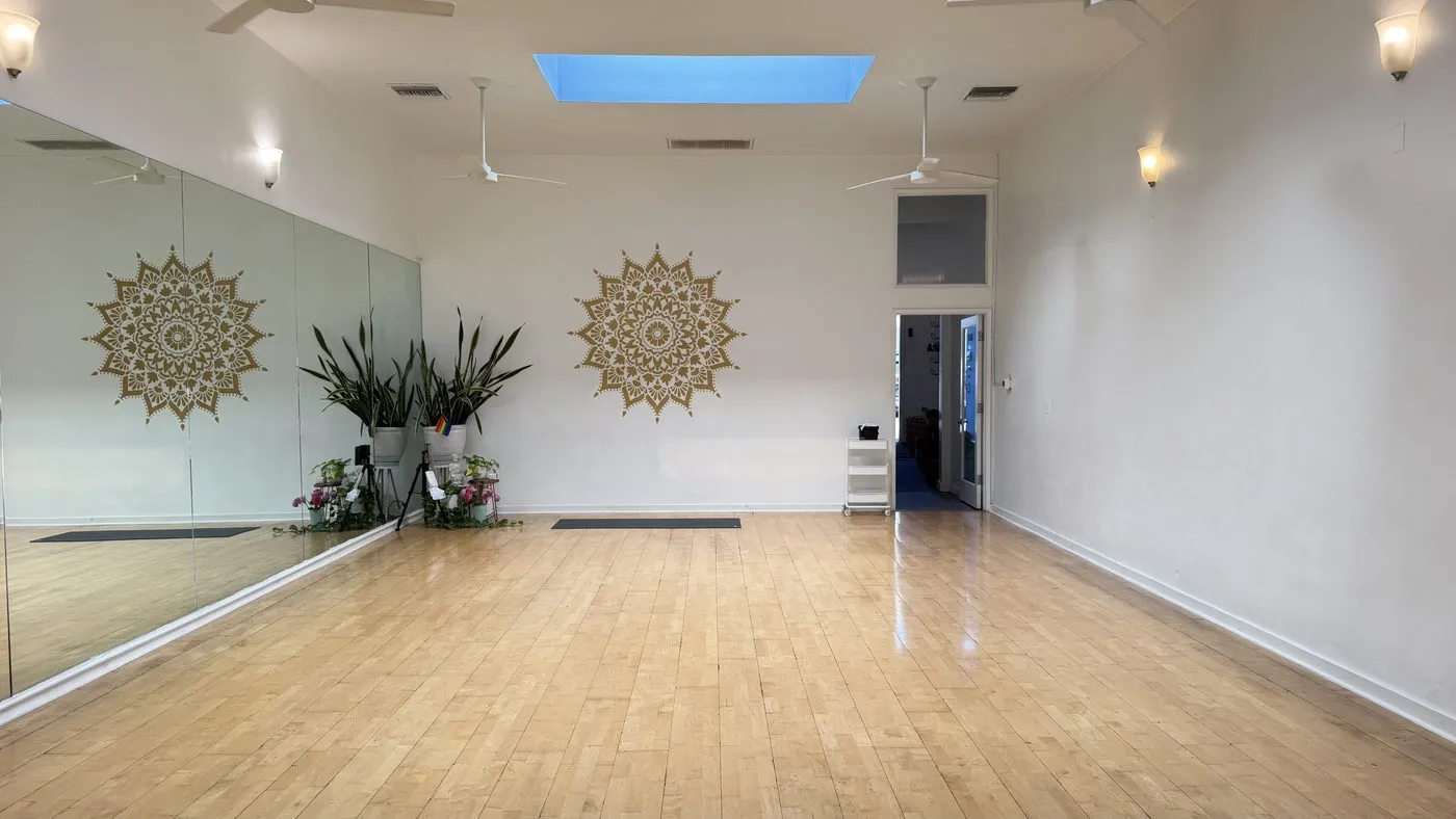 The far end of the practice room, two gold mandala discs on a white wall with a tall potted plant between them and a doorway to one side