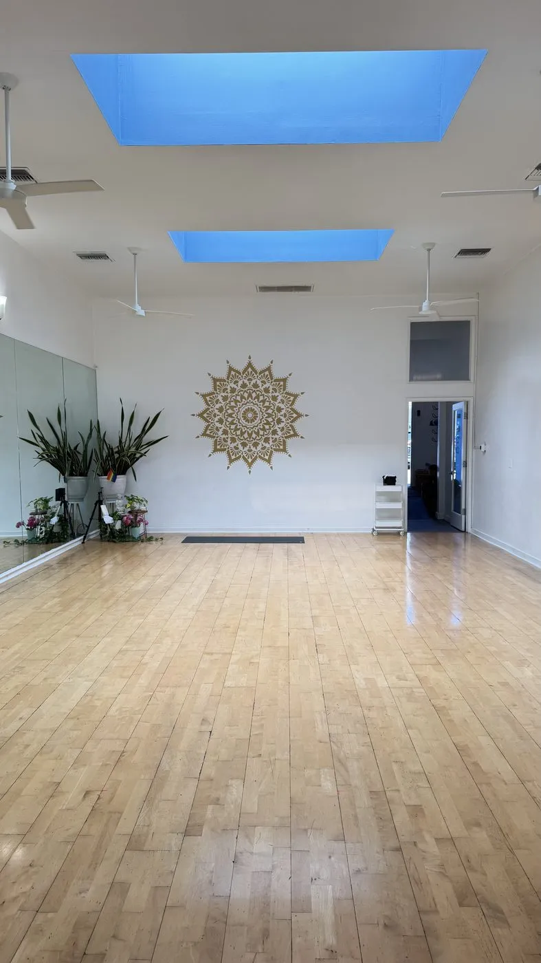 The practice room looking toward the back, a single mandala disc on the white wall, a plant in the corner and daylight coming through skylights onto the wood floor