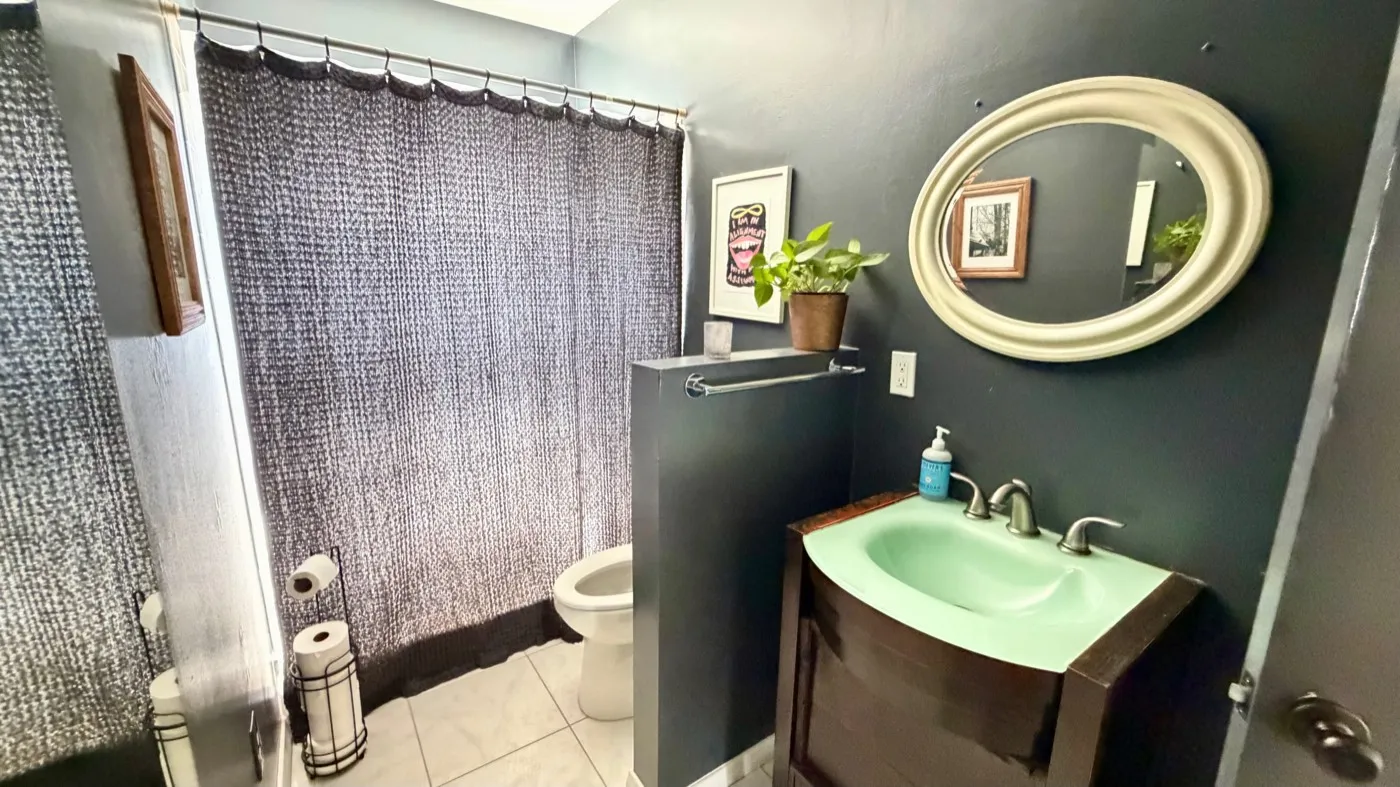 The washroom: charcoal walls, an oval cream-framed mirror above a mint-green basin, a framed print and a potted plant on the shelf